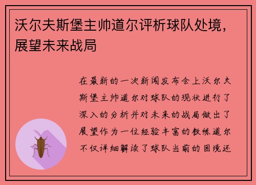 沃尔夫斯堡主帅道尔评析球队处境，展望未来战局